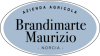 brandimarte_logo